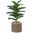 Wooden Stump Tree Branch with Bark Succulent Planter Pot Flower Shelf - LEHADAR