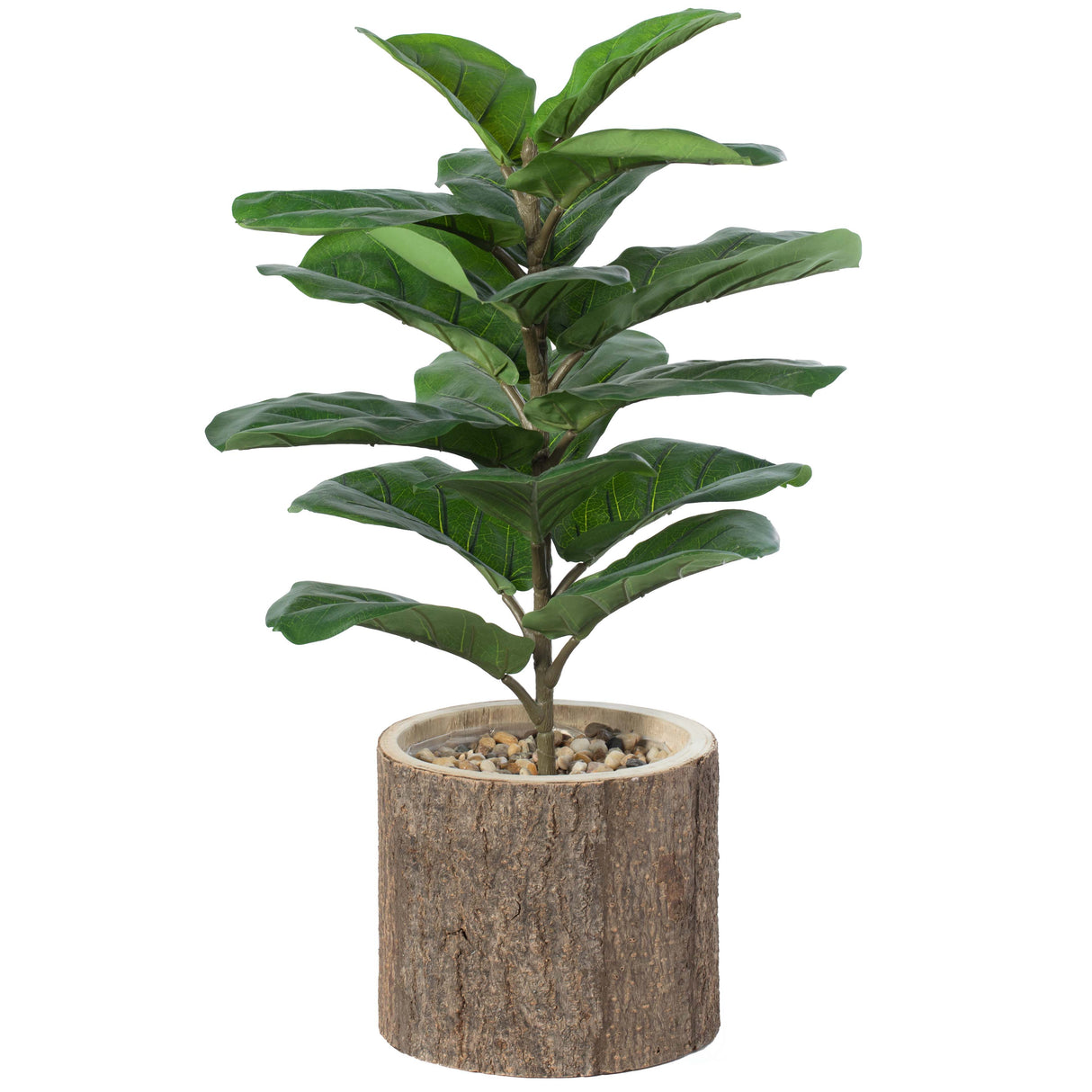 Wooden Stump Tree Branch with Bark Succulent Planter Pot Flower Shelf - LEHADAR
