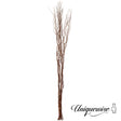 Uniquewise 12 pcs Natural Decorative Dry Branches Authentic Willow Sticks, Home Decoration and Wedding Craft 70 in, DIY Greenery Plants Craft Vases fillers Garden Hotel Farmhouse Decor. - LEHADAR