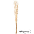 Uniquewise 12 pcs Natural Decorative Dry Branches Authentic Willow Sticks, Home Decoration and Wedding Craft 59 in, peeled white, DIY Greenery Plants Craft Vases fillers Garden Hotel Farmhouse Decor. - LEHADAR