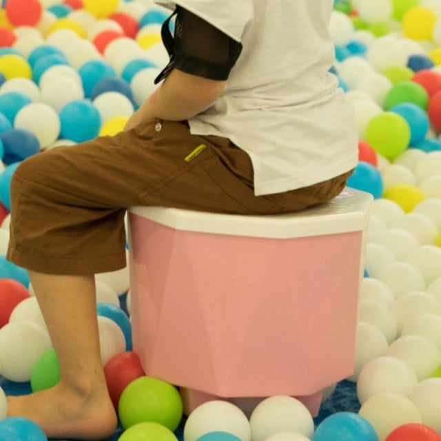 Plastic 2 in 1 Storage Step Stool - LEHADAR