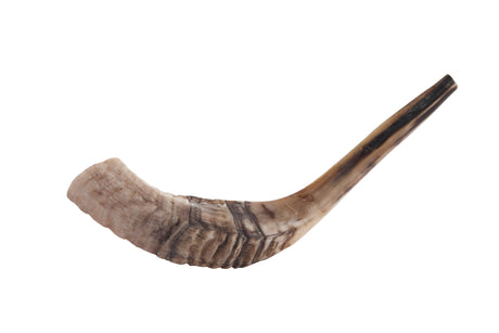 Shofar - 21"-22" - LEHADAR