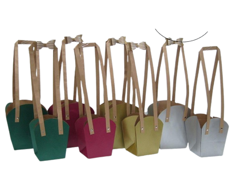 Cardboard bag with Long handles - LEHADAR
