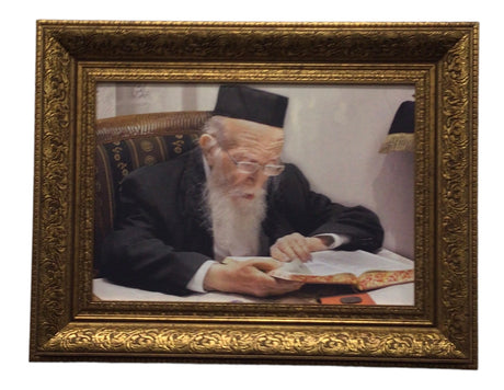 Painting of R' Mechel Yida Lefkowitz, size: 14*20