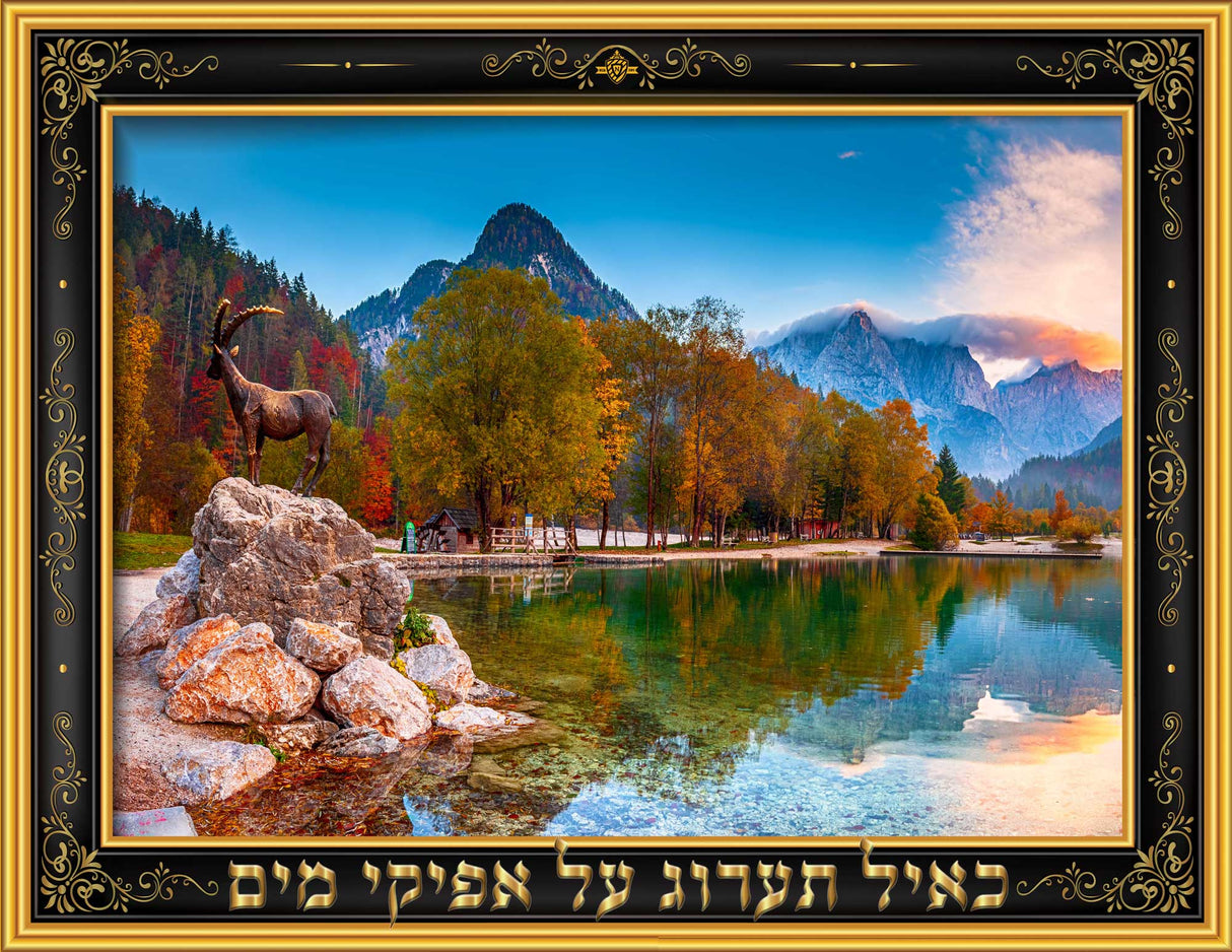 Laminated Sukkah Poster 22"x17"  - ???? ?????