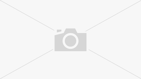 Cellophane Bags - 25pcs - 4x12" - LEHADAR