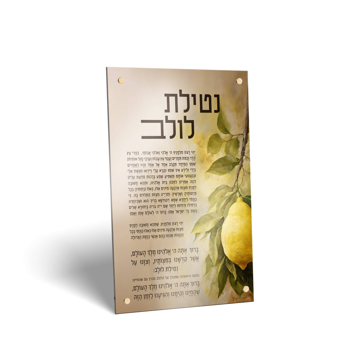 Painted by Batya Sukkah Decorations - LEHADAR
